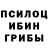 Галлюциногенные грибы мухоморы Larisa Litvin