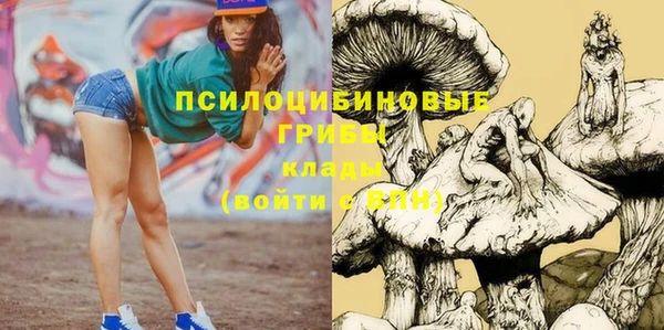 крисы Балахна