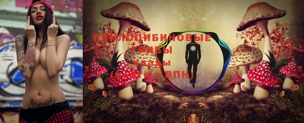 крисы Балахна