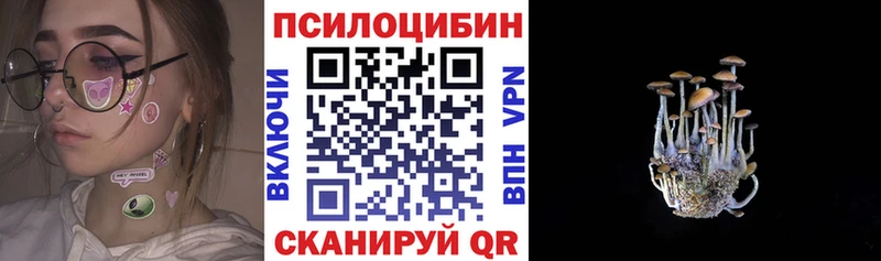 Галлюциногенные грибы Psilocybe  Мценск 